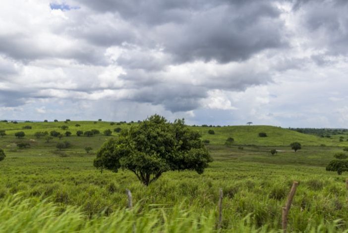 Defesa Civil debate impactos do El Niño em Sergipe