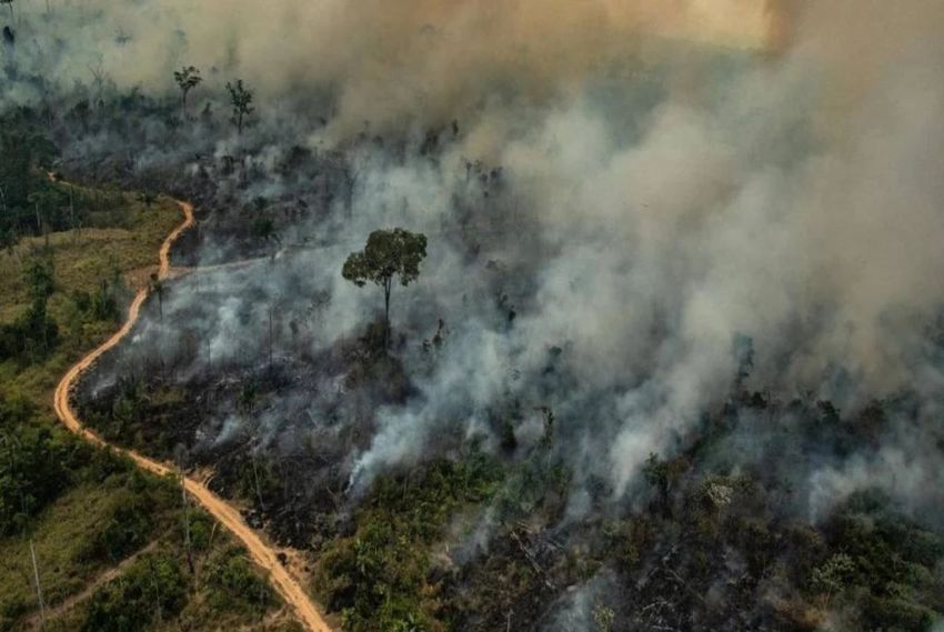 Emissão de gases do efeito estufa por queimadas na Amazônia cresce 60%