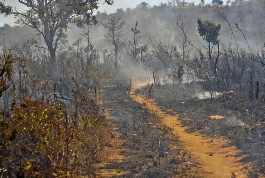 Cerrado: queimadas têm aumento de 221% em agosto