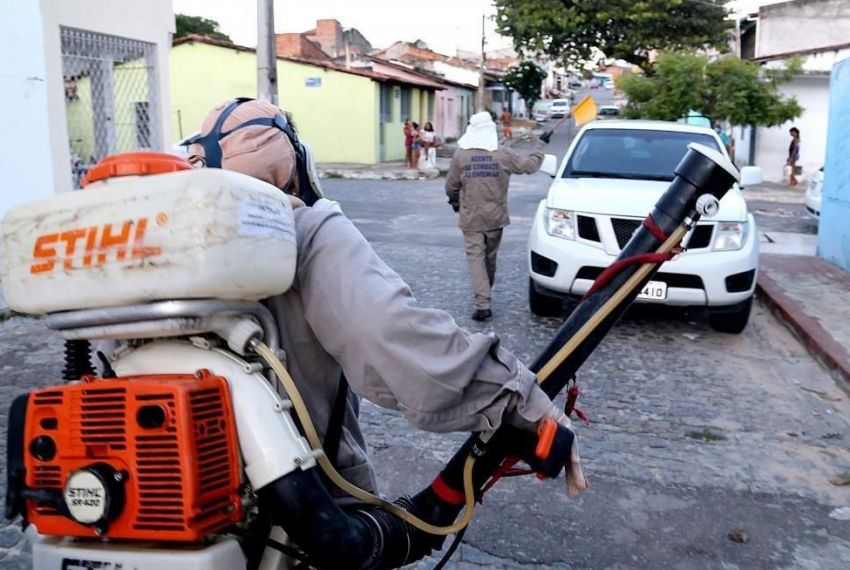 Saiba como evitar a incidência de muriçoca e entenda como funciona o fumacê