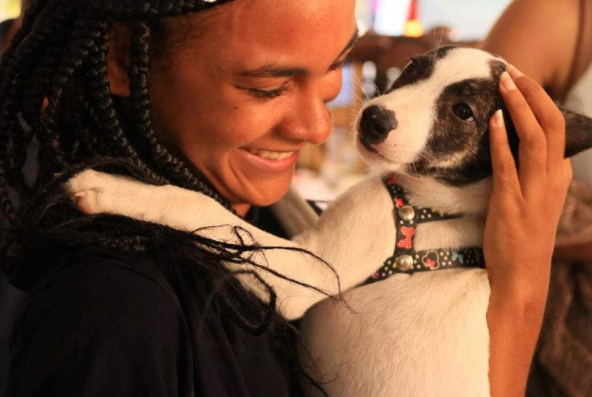 Secretaria de Meio Ambiente dá dicas de cuidados com os Pets no verão