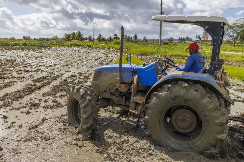 Produtores iniciam plantio com apoio do Sementes do Futuro