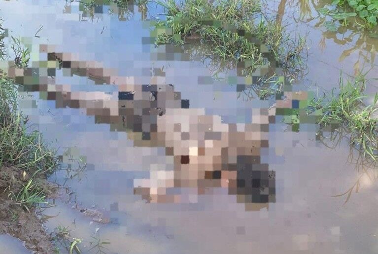 Adolescentes são internados por morte de jovem em Lagarto
