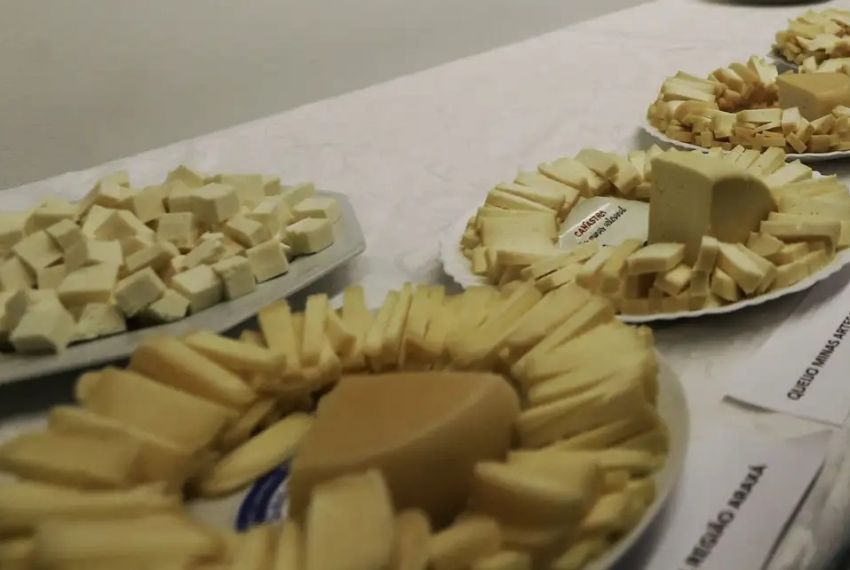 Brasil começa a importar queijo mais barato após acordo Mercosul–UE