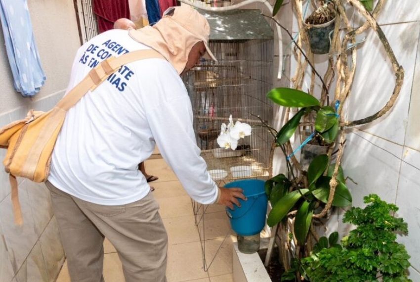 LIRAa aponta 7 municípios com alta infestação do Aedes aegypti
