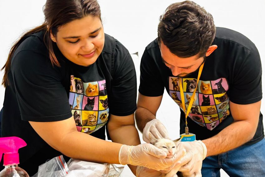 Aju Animal realiza quase 400 atendimentos gratuitos em julho