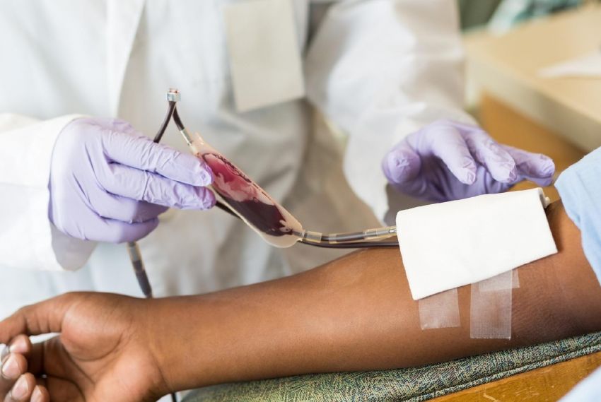 Pessoas com 70+ poderão doar sangue com novas regras